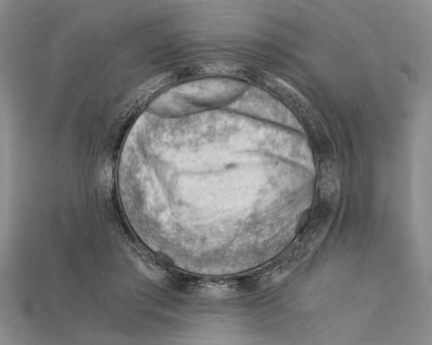 X0000114430405200911131336