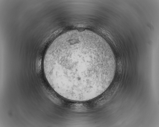 X0000114430406200911131336