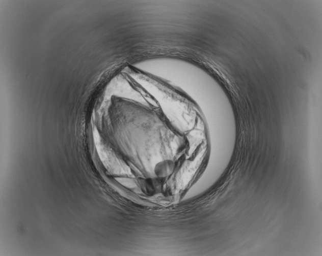 X0000114430407200911131336