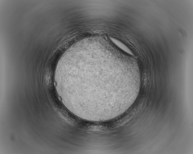 X0000114430408200911131336