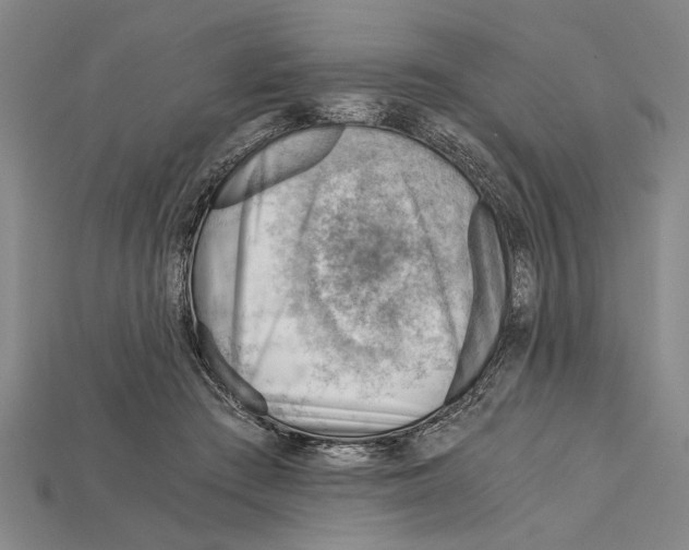 X0000114430409200911131336