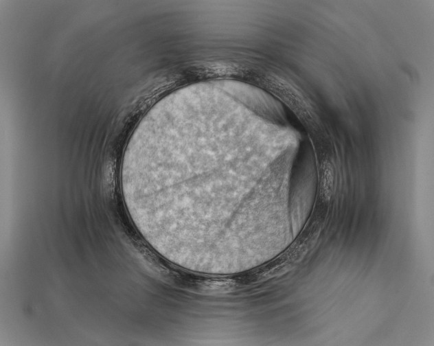 X0000114430410200911131336