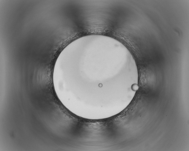 X0000114430411200911131336