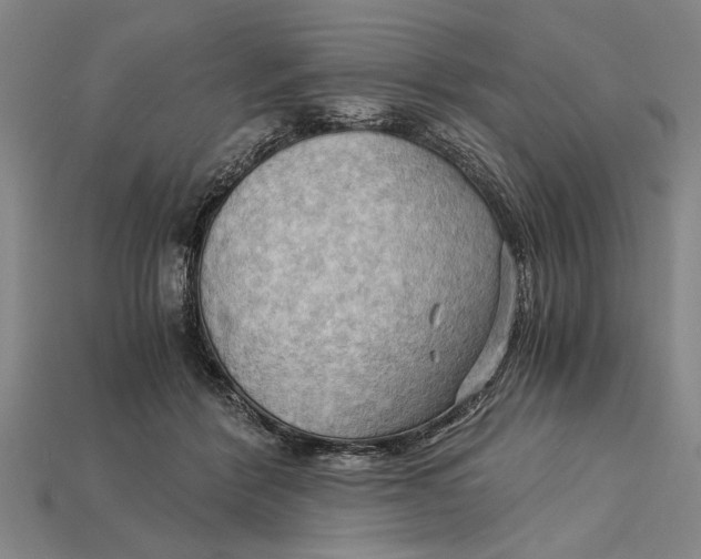 X0000114430412200911131336