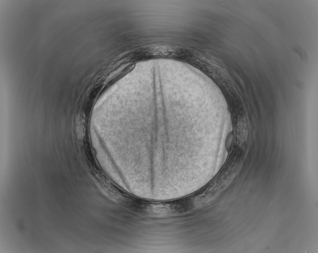 X0000114430413200911131336