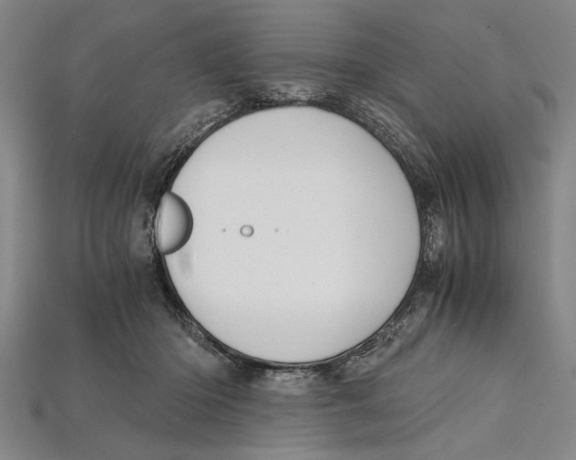 X0000114430414200911131336