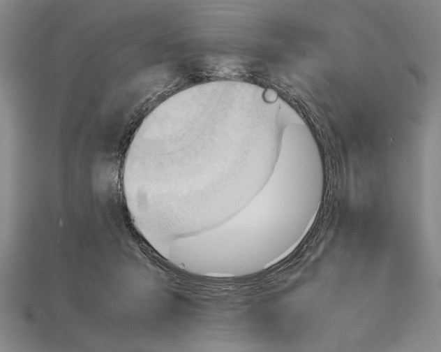 X0000114430415200911131336