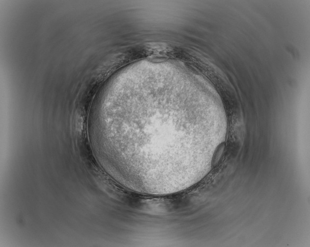 X0000114430417200911131336