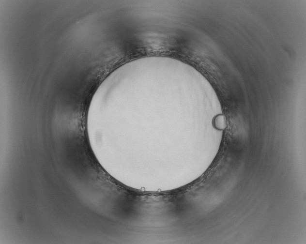 X0000114430419200911131336