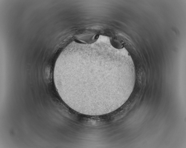 X0000114430420200911131336