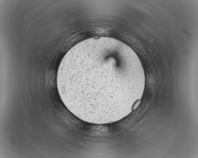 X0000114430421200911131336