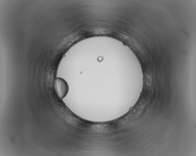 X0000114430422200911131336