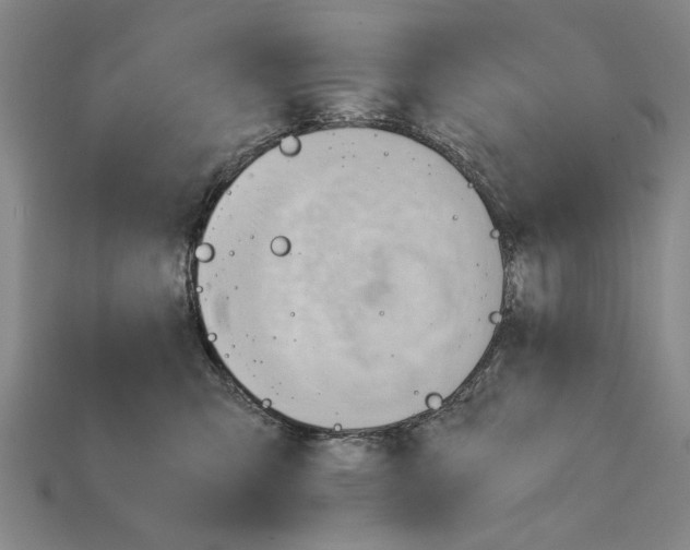 X0000114430423200911131336