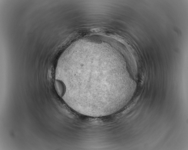 X0000114430424200911131335