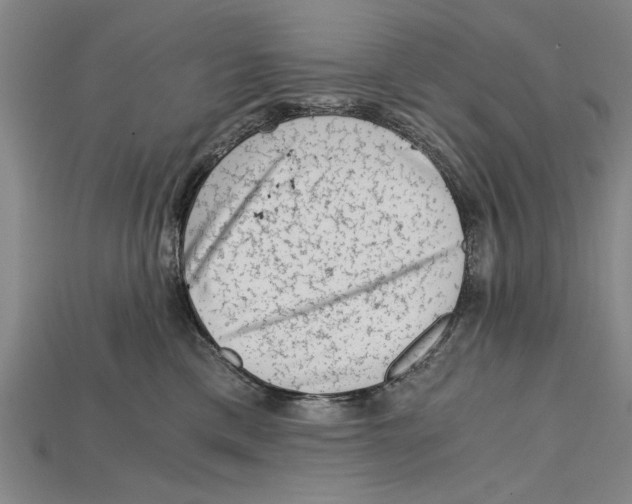 X0000114430425200911131335