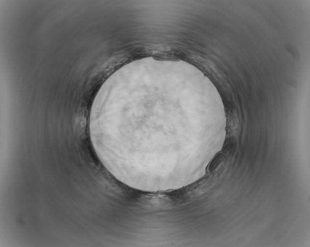 X0000114430427200911131335