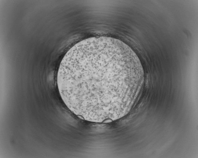 X0000114430428200911131335