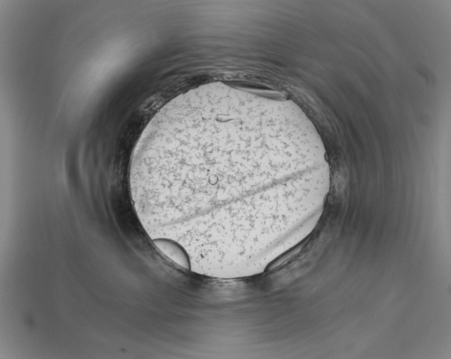 X0000114430429200911131335