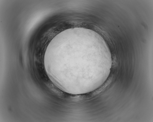 X0000114430430200911131335