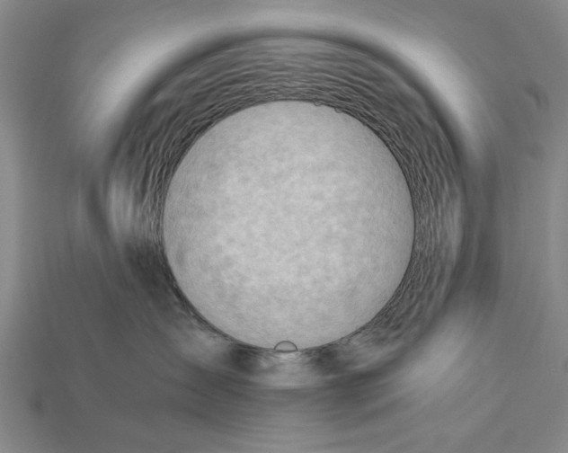 X0000114430431200911131335