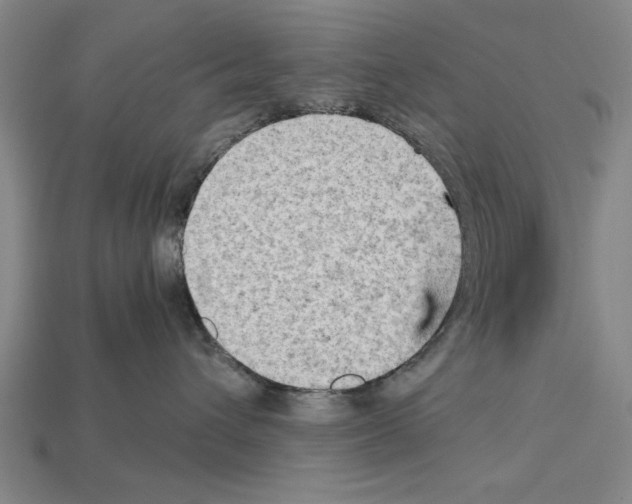 X0000114430432200911131335