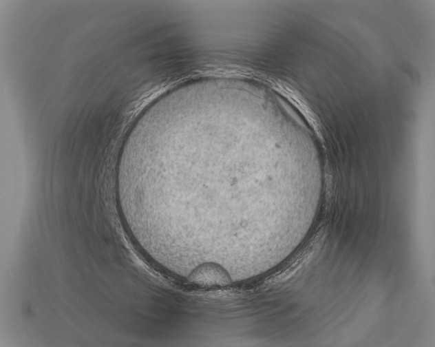 X0000114430433200911131335