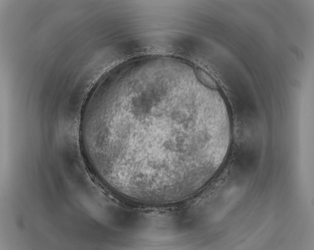 X0000114430434200911131335