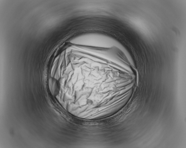 X0000114430435200911131335