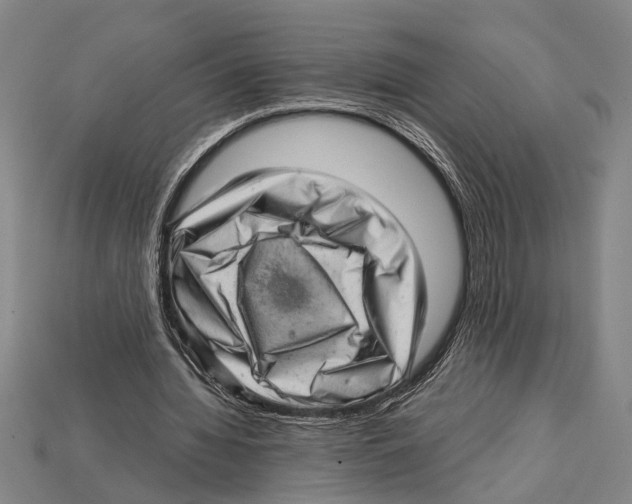 X0000114430436200911131335