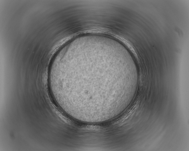 X0000114430437200911131335