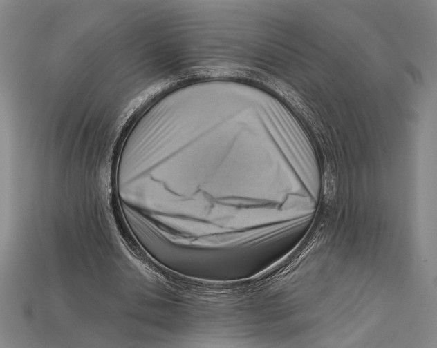 X0000114430438200911131335