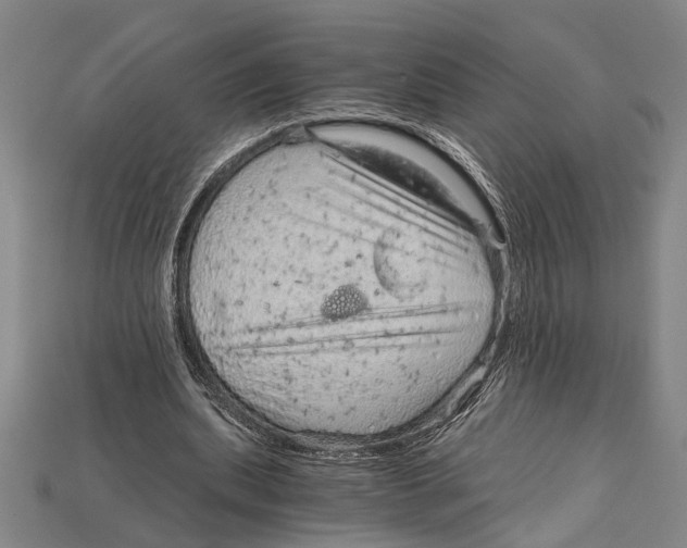 X0000114430439200911131335