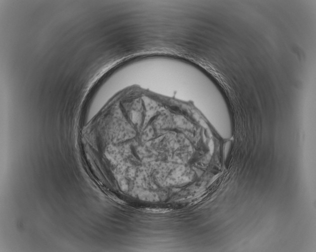 X0000114430440200911131335