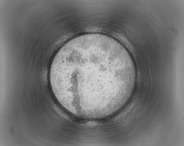 X0000114430441200911131335