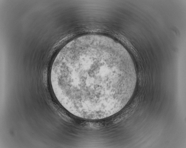 X0000114430442200911131335