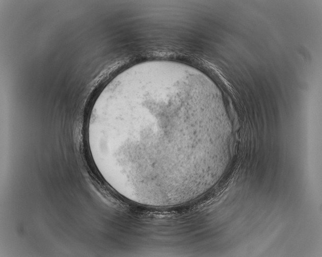 X0000114430443200911131335