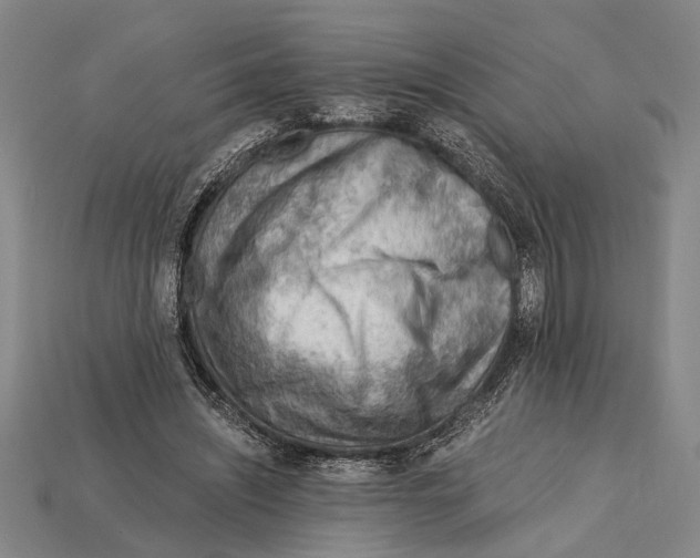 X0000114430444200911131335