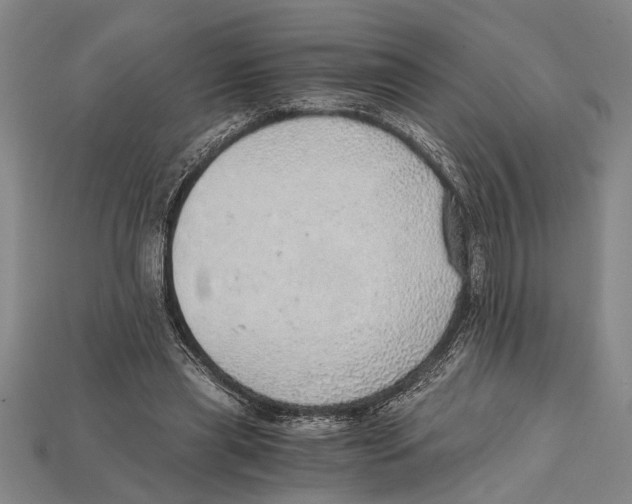 X0000114430445200911131335