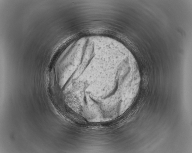 X0000114430446200911131335