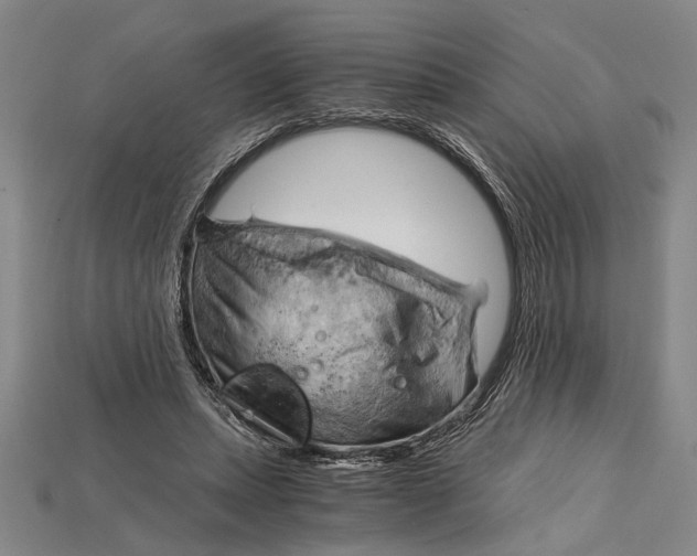 X0000114430447200911131335