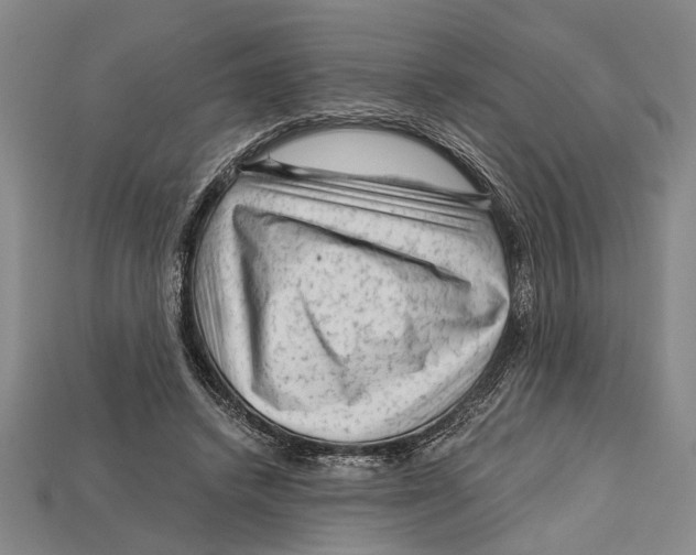 X0000114430448200911131335