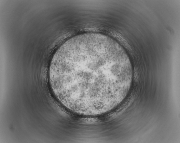 X0000114430449200911131335