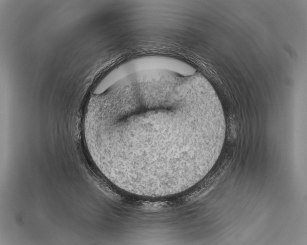 X0000114430450200911131335