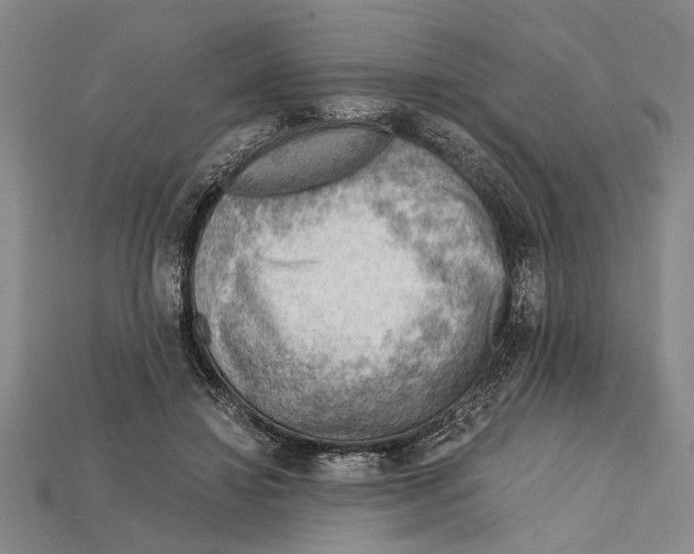 X0000114430452200911131335