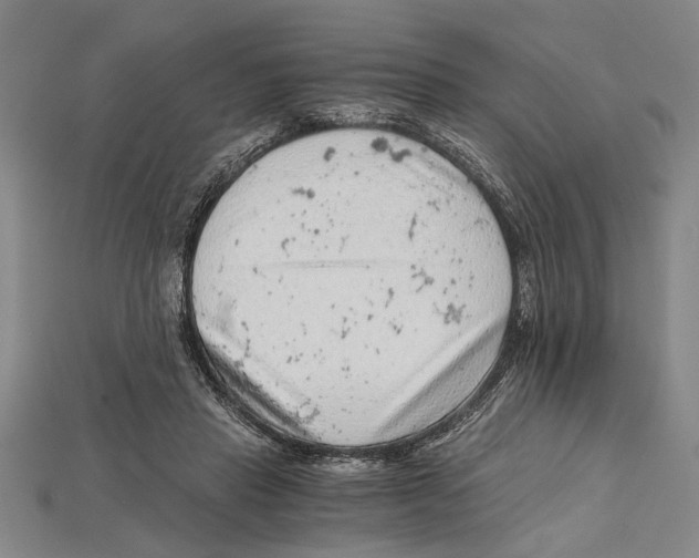 X0000114430453200911131335