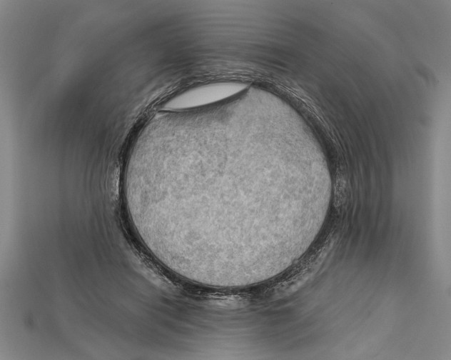 X0000114430454200911131335