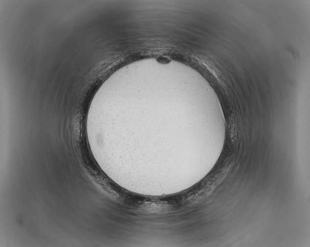 X0000114430455200911131335