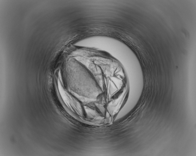 X0000114430456200911131335