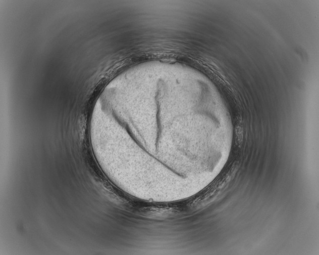 X0000114430458200911131335