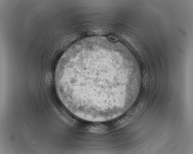 X0000114430459200911131335